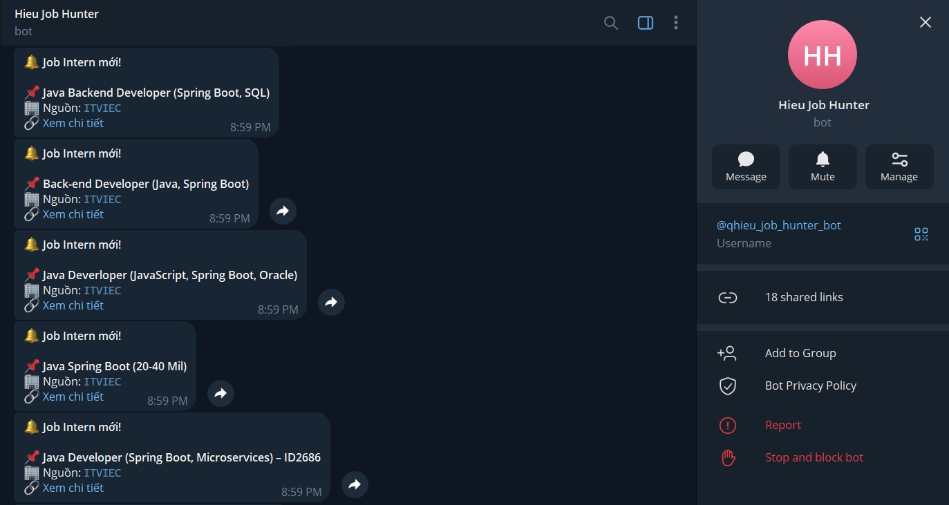 Automated Java Intern Job Finder